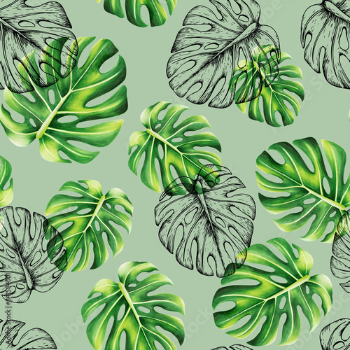 Watercolor seamless pattern with realistic and linear tropical illustration of monstera isolated on background. Beautiful botanical hand painted logo with floral elements. For designers, spa decorat
