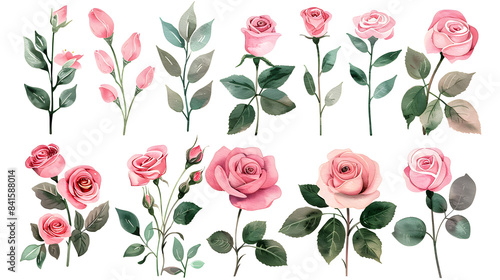 Clipart illustration Set watercolor arrangements with roses. collection garden pink flowers, leaves, branches on a white background, suitable for crafting and digital design projects.[A-0001]