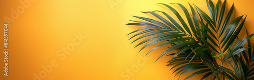 Tropical palm leaves on an orange background. Summer vacation and exotic nature concept. Design for spa poster, wallpaper, banner with copy space.