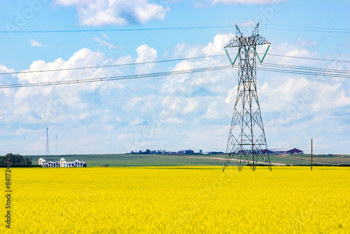 Electrical pylon overlooking blooming yellow canola field near a country road in Rocky View County Alberta Canada.