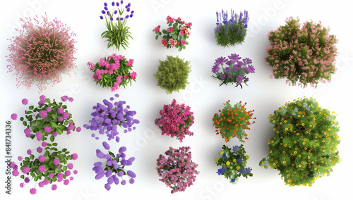 3d model of different types of flowers and shrubs, top view, white background, high resolution, no shadows, high detail, no text or images on the elements, hyper realistic, photorealistic, no blur eff