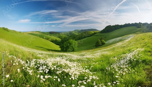 beautiful spring and summer natural panoramic pastoral landscape with blooming field of daisies in the grass in the hilly countryside