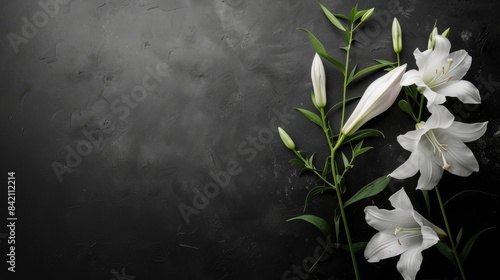 Condolence card with bellflower on a black and white backdrop
