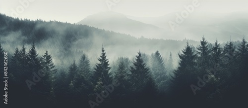 Vintage hipster style landscape with misty mountains, fir forest, and copy space image.