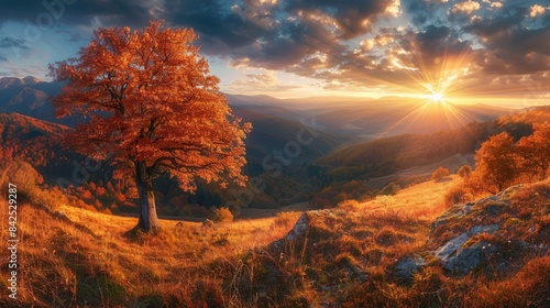Majestic beech tree with sunny beams at autumn mountain valley. Dramatic colorful evening scene. Carpathian mountains, Ukraine. Landscape photography AI generated