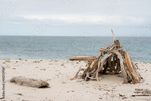 driftwood shelter on a sunny beach