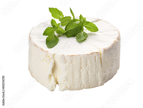 a round white cheese with green leaves on top