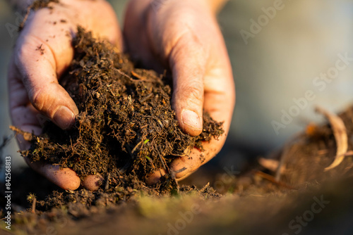 soil falling around a test tube collecting a soil collecting a soil sample in a paddock on a farm australian agronomist practicing agronomy innovation on a organic regenerative agriculture, for cows