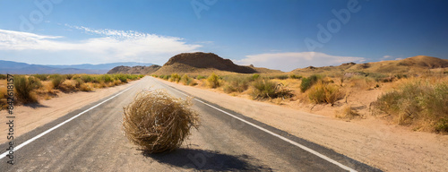 A tumbleweed rolling over an empty desert road under a clear sky.