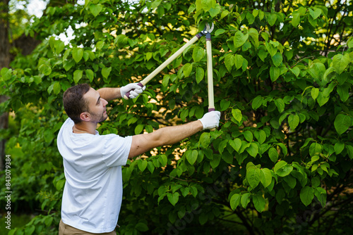 Young Garden worker trimming bushes with scissors in the yard