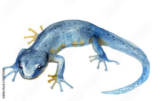 Newt. Captivating watercolor rendition. Presented on pure white canvas. Artistic interpretation of fascinating wildlife. Fusion of abstract and realistic elements.
