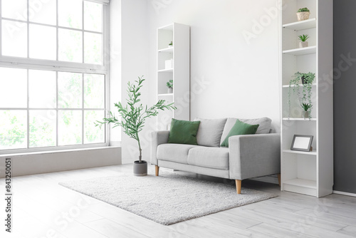 Interior of light living room with sofa, olive tree and shelf units