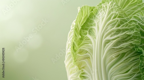 Ripe Chinese cabbage on light green surface close up Room for text