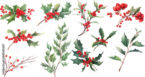 Mistletoe branches watercolor clipart 