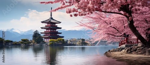 cherry blossom with pagoda at miyajima. copy space available