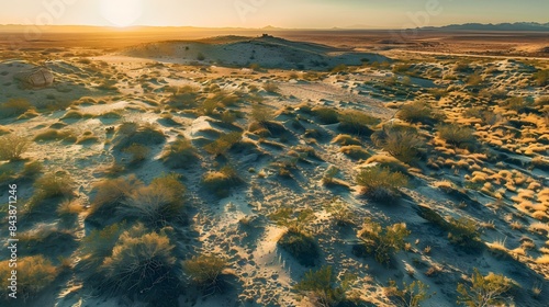Desert landscape with sand dunes sparse