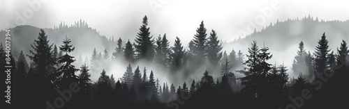 Misty Fog Landscape Panorama with Black and Gray Silhouette of Spruce and Fir Trees in Forest Vector Illustration Banner for Wildlife Adventure