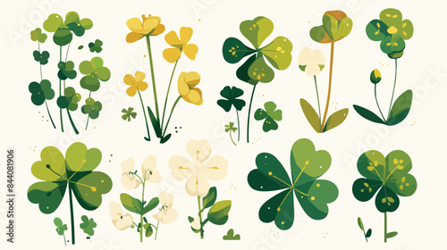 Clover flowers clipart isolated vector illustration