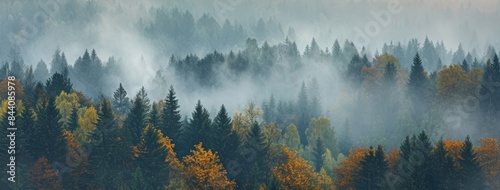 Amazing mystical rising fog forest autumnal trees and firs landscape in black forest ( Schwarzwald ) Germany panorama banner - Dark autumn mood, Generative AI