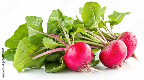 Radish Freshness isolated on a White Background