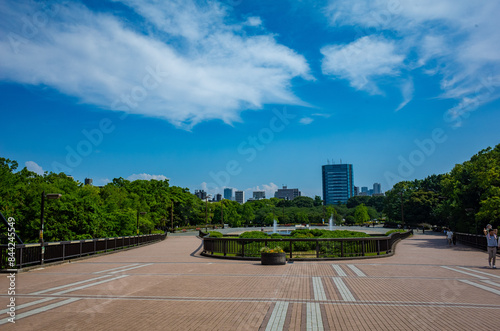 東京・木場公園