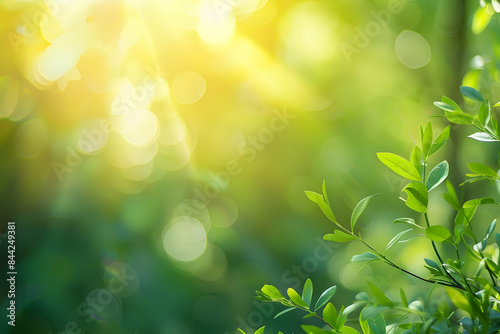 Sunlight filters through lush green leaves in a vibrant natural setting.