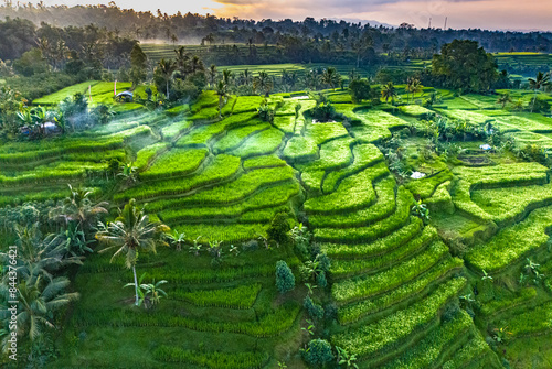 Jatiluwih Rice Terraces in Penebel district, Bali, Indonesia