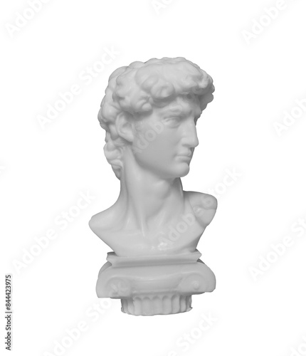 Detail of replica of David. Statue of David's head. Michelangelo's David statue copy isolated on white background. Ancient sculpture, statue of hero 