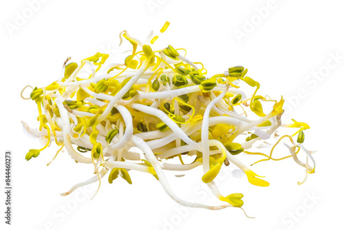 A pile of green and yellow sprouts on a white background