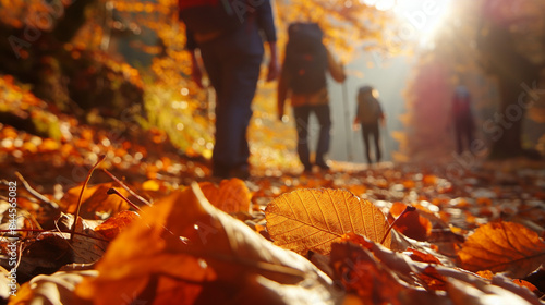 山や森林の紅葉を背景にハイキングをする人々
