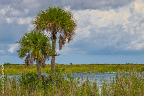 Florida Everglades