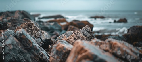 Textured rocky shoreline with blurred background and space for text.