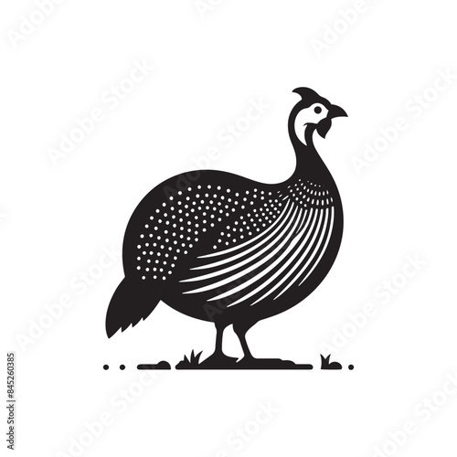 Guinea fowl Silhouette: Enhance Your Artwork with Exotic Bird Graphics- Guinea fowl Vector - Guinea fowl Illustration.