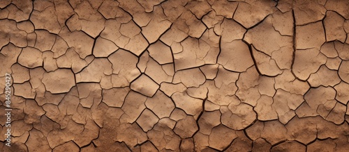 The hot summer brings patterns and texture to the cracked soil of the dry season The background displays a close up of the cracked and muddy earth depicting the drought in the ground A copy space ima