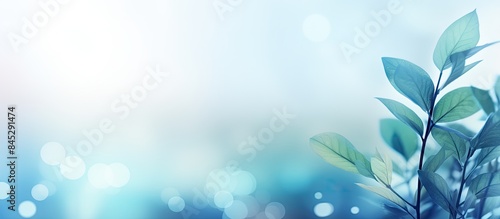 A modern copy space image showcasing nature with a shallow depth of field featuring a beautiful abstract blurred background in varying shades of blue and a frame