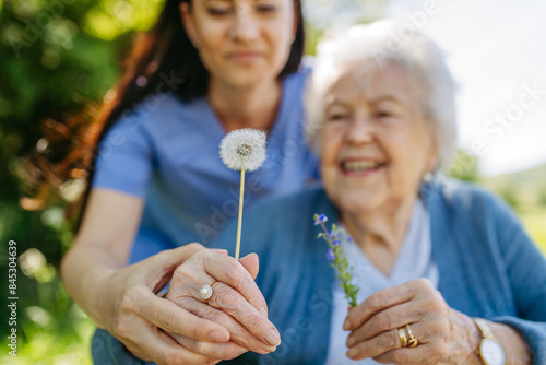 Female caregiver and senior woman in wheelchair holding dandelion, picking wild flowers. Nurse and elderly woman enjoying a warm day in nursing home, public park.