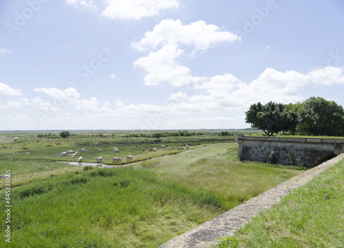 Bay of Brouage with ancient salt marshes and its channels around the ramparts of the Royal City of Hiers-Brouage in Charente-Maritime