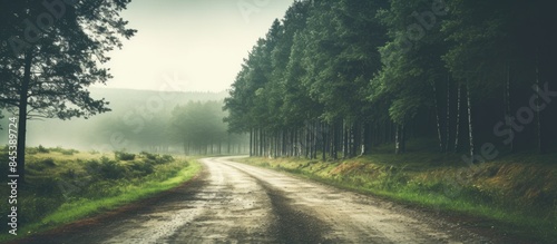 empty road with tire tracks in the countryside with forest in surrounding perspective in summer with mist and green trees vintage old effect. Creative banner. Copyspace image