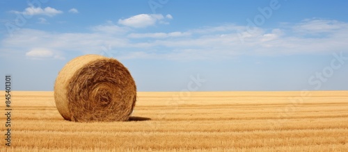 The haystack in the field. Creative banner. Copyspace image
