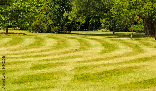 Świeżo skoszony trawnik w parku miejskim wiosną. Regularne wzory tworzone przez koszenie rozległego trawnika w parku w maju.