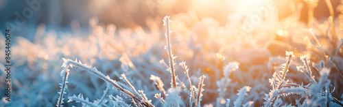 A thick layer of frost covering desert vegetation on a chilly winter morning blurred background 