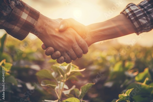 Handshake in agriculture field at sunset