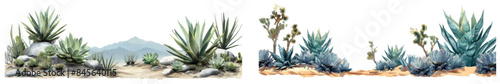 A set of spikey agaves, showing off their drought-resistant features, isolated on transparent background.