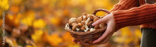 Someone holding a basket of nuts in their hands in front of a tree, foraging 