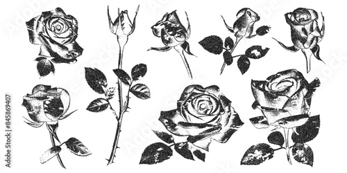 Rose flowers with vintage stipple effect, y2k coquette collage design. Monochrome photocopy retro design rosebud elements. Vector illustration for romantic grunge gothic surreal poster