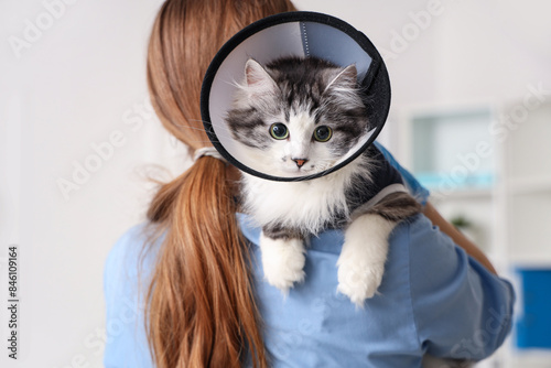 Female veterinarian holding cute cat with Elizabethan collar after sterilization in vet clinic