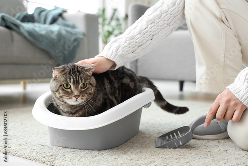 Cute cat in litter box and owner with scoop at home