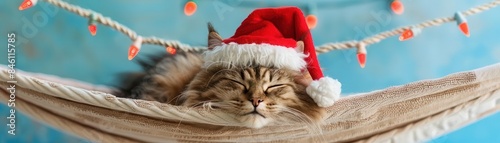 Cat wearing a Santa hat, sleeping peacefully in a hammock made of beach towels