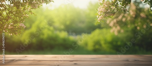 A spring or summer season scene with a blurred background of trees covered in a wooden perspective and bokeh effect Perfect for a copy space image