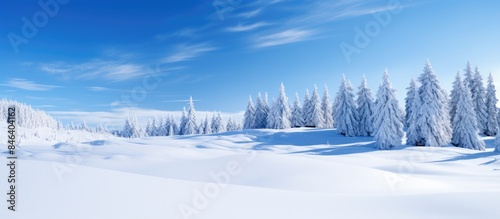 A picturesque winter landscape featuring a vast expanse of snow accompanied by a majestic larch forest beneath a clear blue sky Copy space image